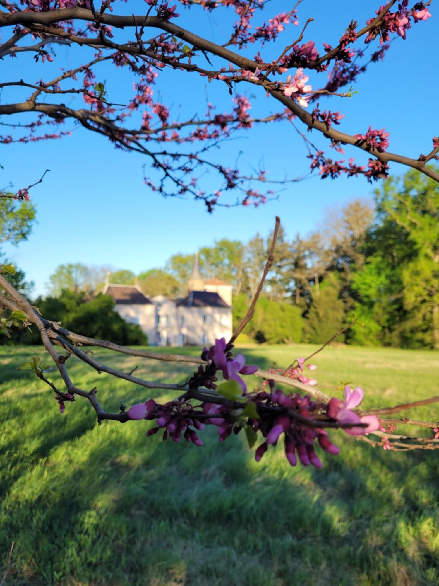 Bed and Breakfast L'Ancre Vive Charentay Exteriér fotografie